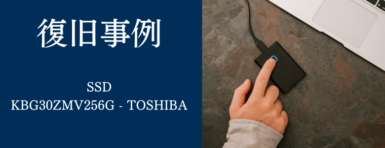 KBG30ZMV256G - TOSHIBAの復旧事例