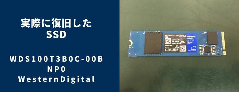 復旧したWDS100T3B0C-00BNP0
