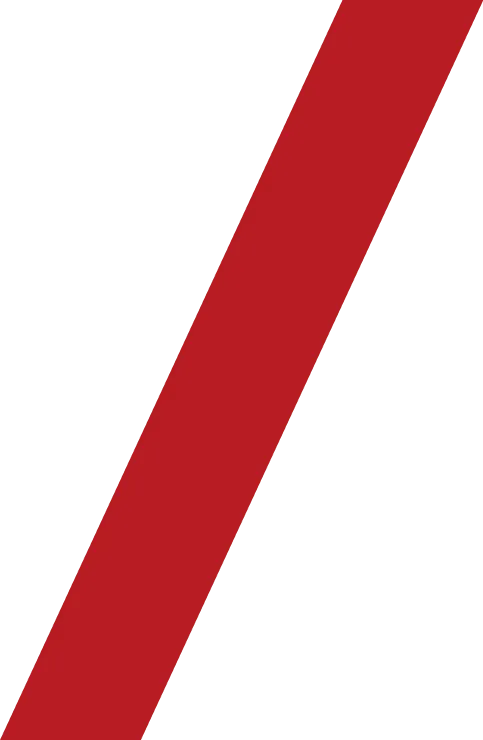 背景ラインイメージ